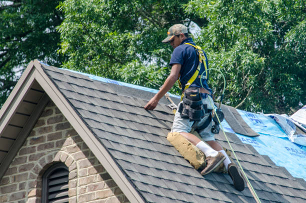 Quick and Trustworthy Emergency Roof Repair Services in San Rafael, CA